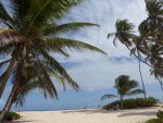 Driving in Barbados - Here's What You Need To Know - Solemate Adventures