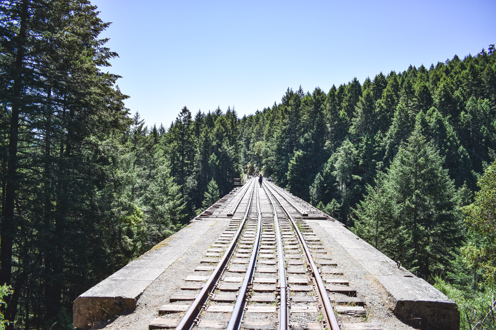 How to Hike Goldstream Trestle on Vancouver Island - Solemate Adventures