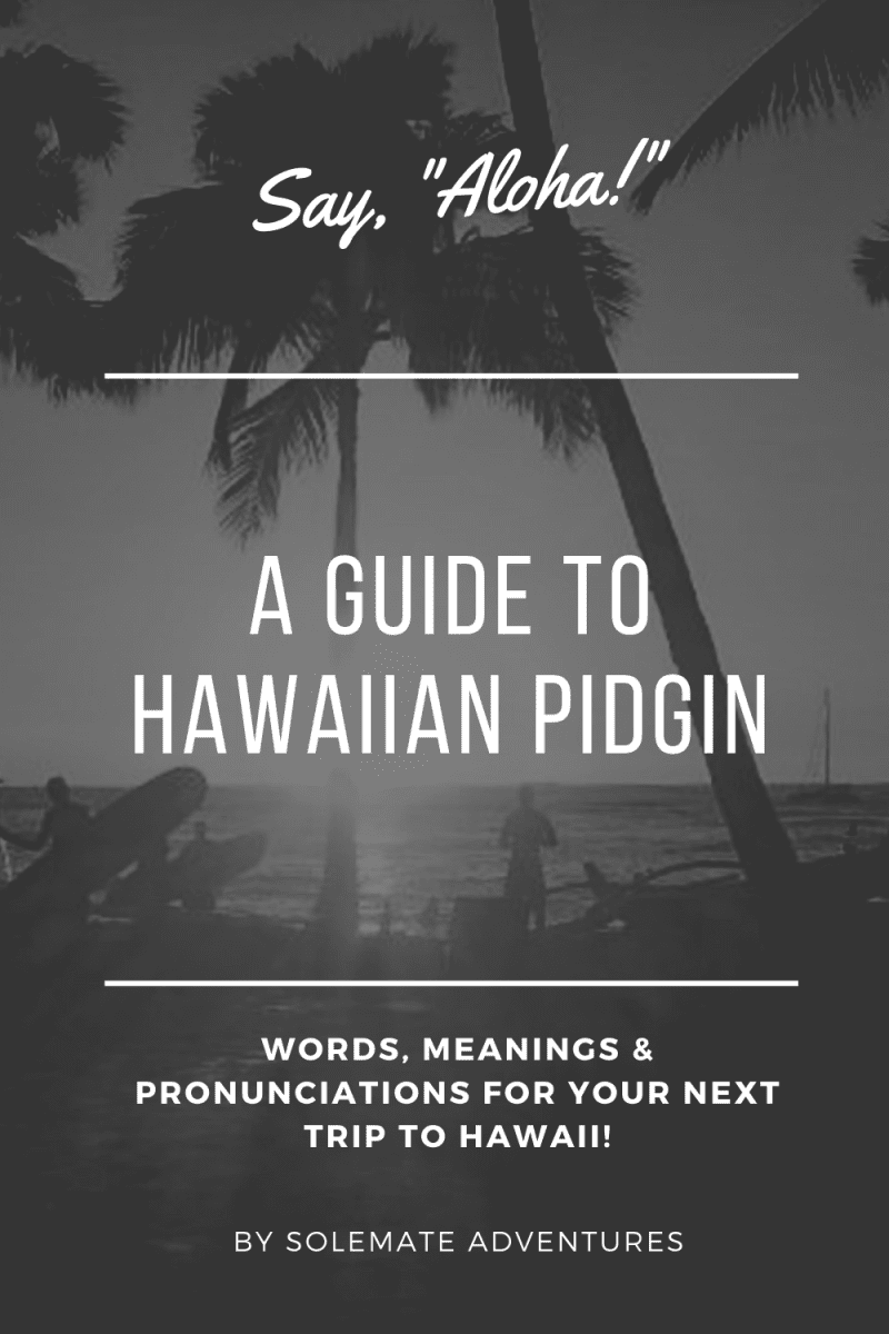 pidgin hawaiian slang