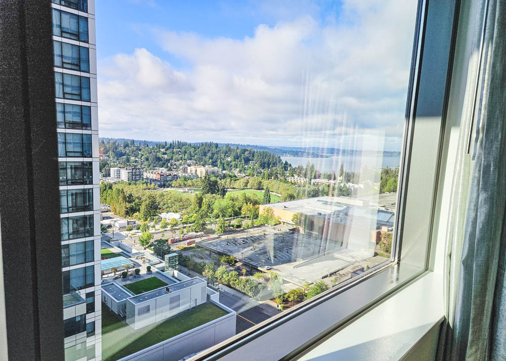 The Westin Bellevue Deluxe View King Room View