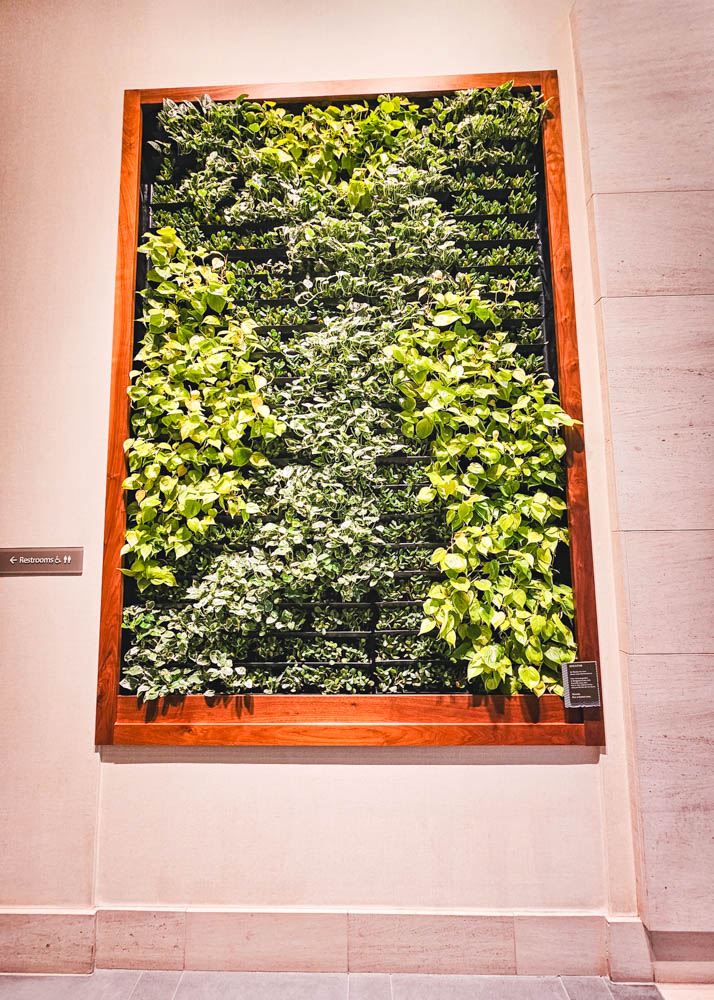 The Westin Bellevue Vertical Garden