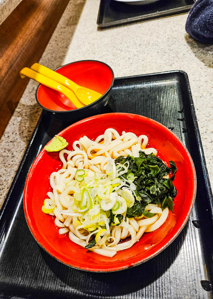 Fuji Soba Udon