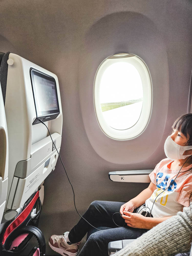 Japan Airlines Economy Seat