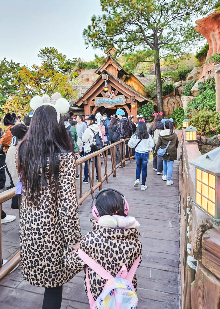 Splash Mountain Premier Access at Tokyo Disneyland