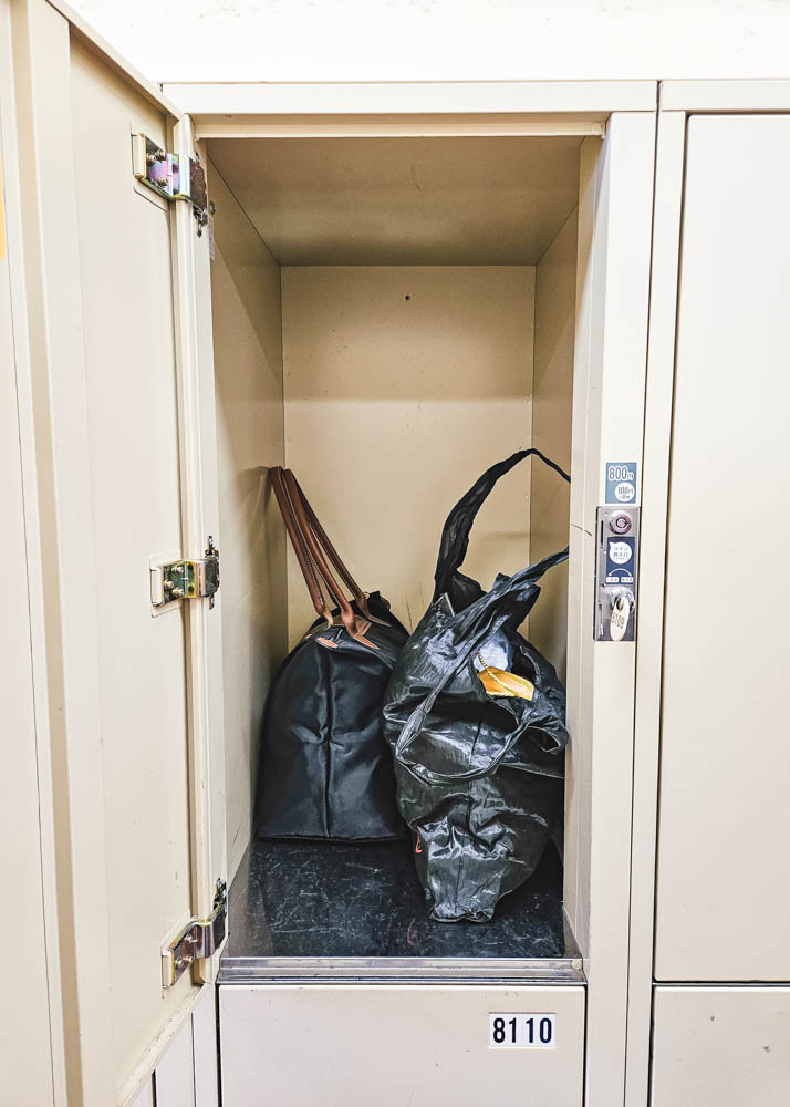 Tokyo Disneyland Lockers Medium