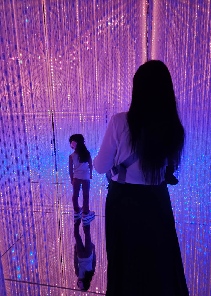 teamLab Borderless Exhibits