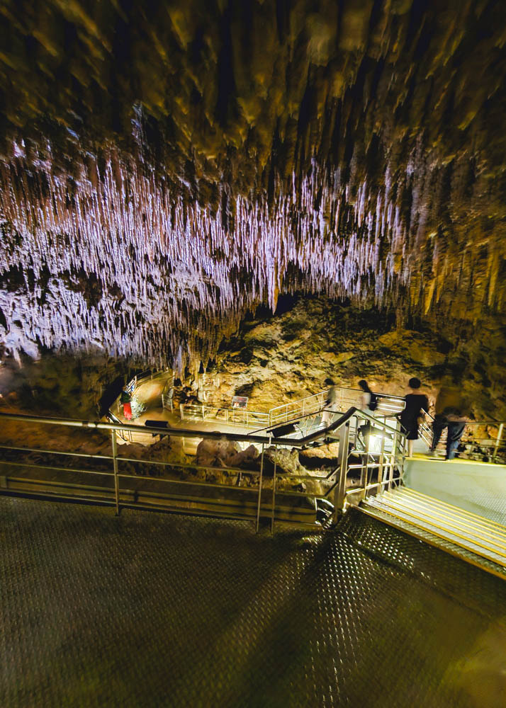 Okinawa World Cave